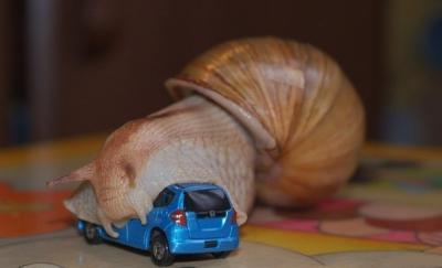 Прикрепленное изображение: 1.jpg